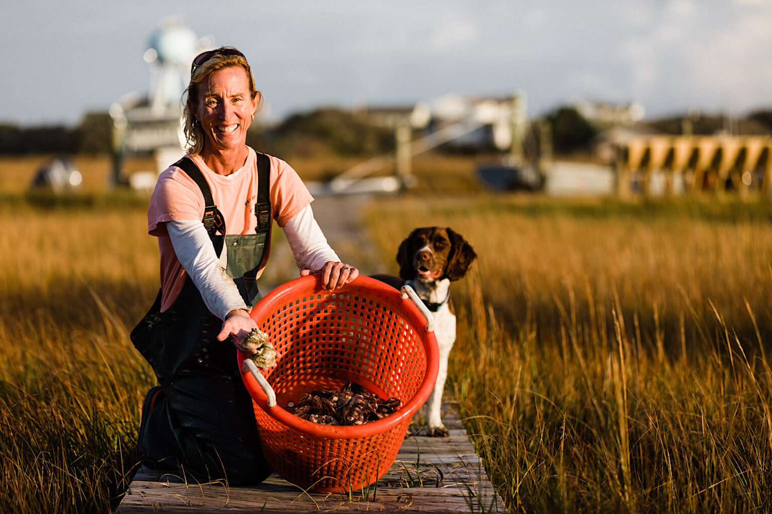 What’s So Special About North Carolina’s Oysters?Savoring the NC Oyster