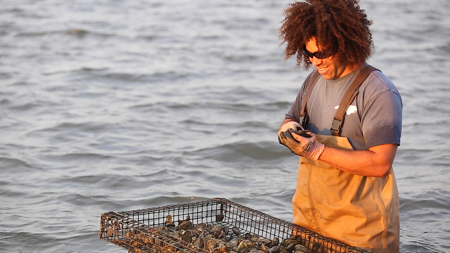 What’s So Special About North Carolina’s Oysters?Savoring the NC Oyster